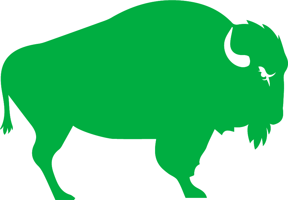 Bison image
