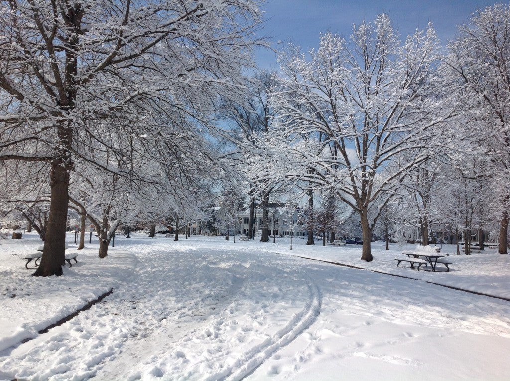 Ritter Park View, Home of Our President, Winter 2015