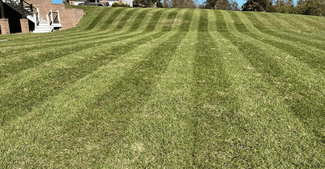 From Yard Work to Database and Visualization Work w/PowerBI: Cultivating Excellence