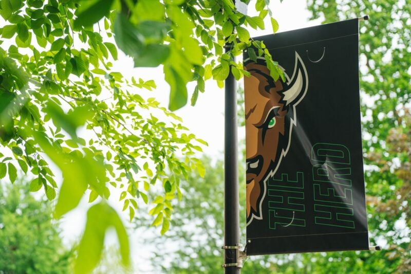Marco flag on campus with tree leaves