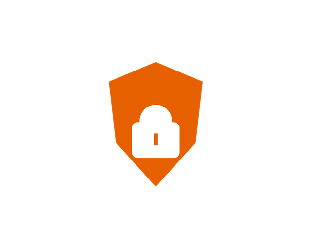 security icon