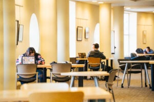 students in library on computers