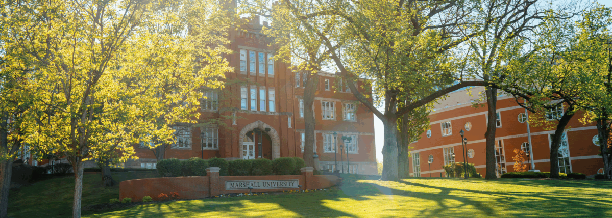 June Harless Center