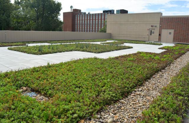 The green roof on top of the Engineering Complex has many green properties including extending the life of the roof, reducing heating and cooling costs, providing habitats for wildlife and diverting water from the storm drain system.
