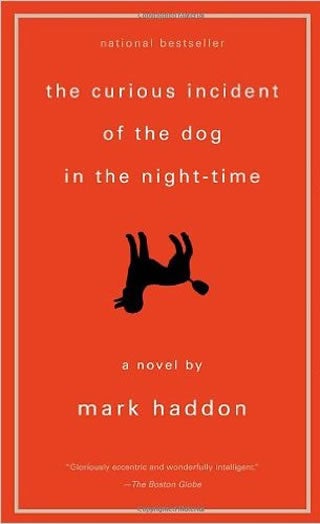 the curious incident of the dog in the night-time
