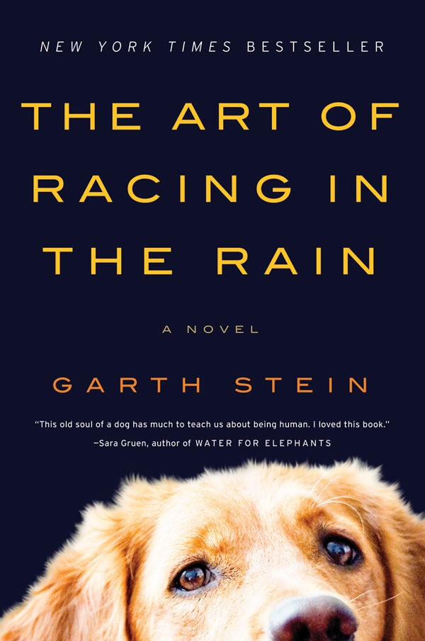 art of racing in the rain cover