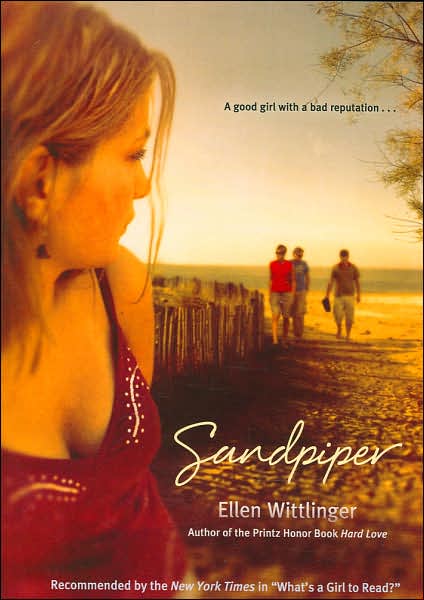 sandpiper cover