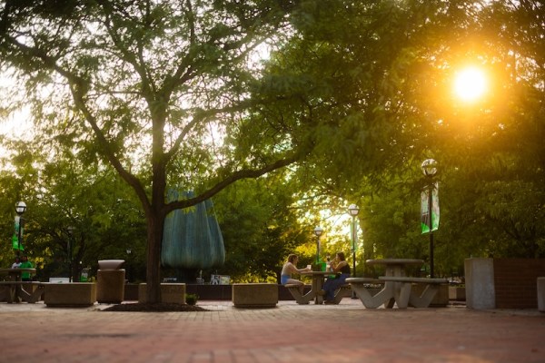 Degrees & Programs
