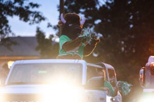 Marshall University's Marco smiles and waves as he rides in the Homecoming Parade