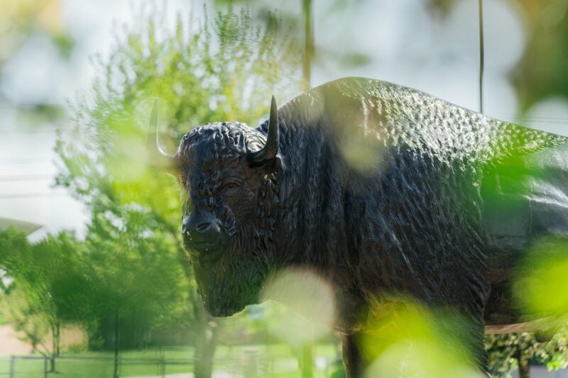 Image of Bison Statue