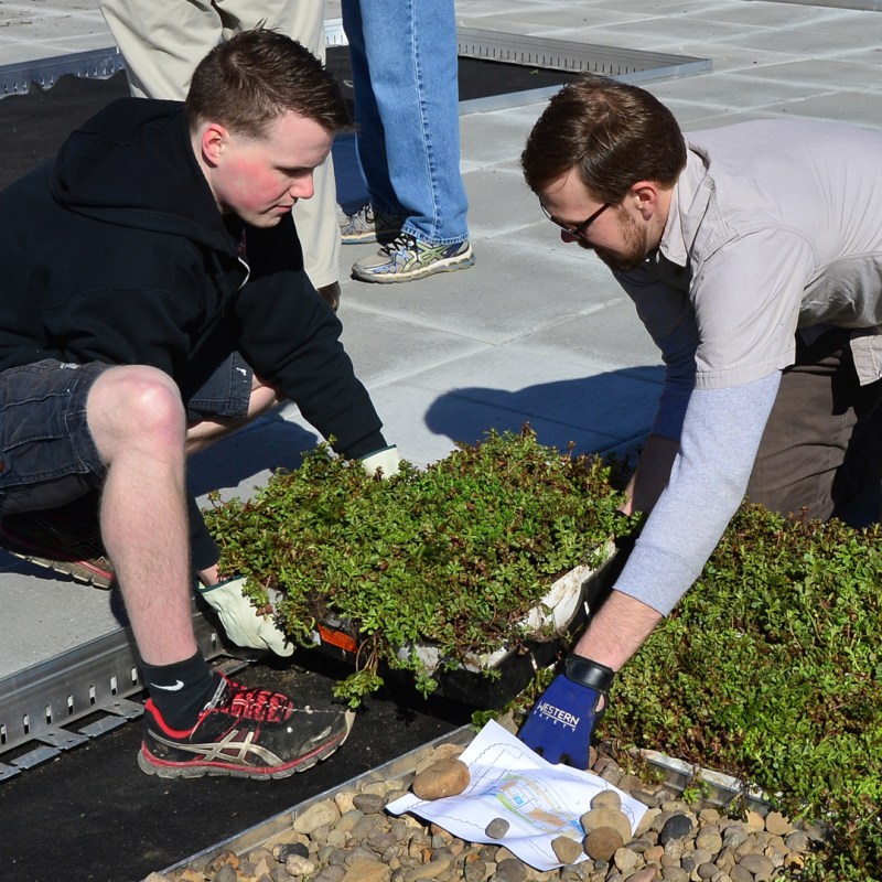 Students and staff install a green roof at Marshall University