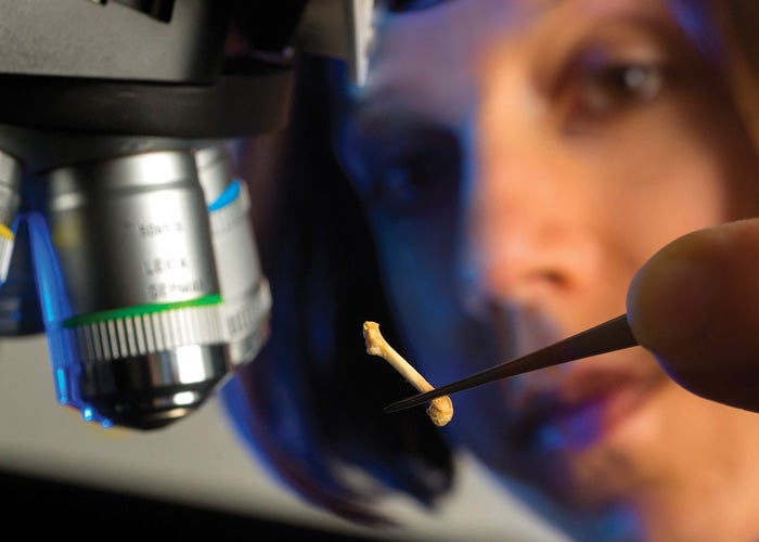 Biomedical sciences publication highlights faculty, student research