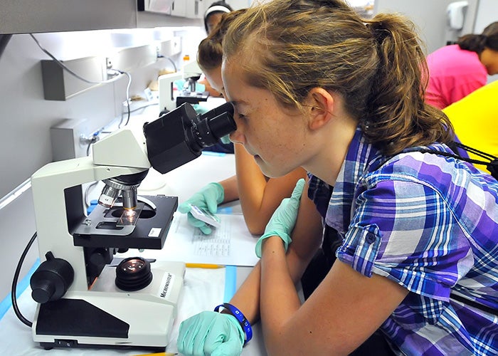 Faculty offering science camps for local students this summer