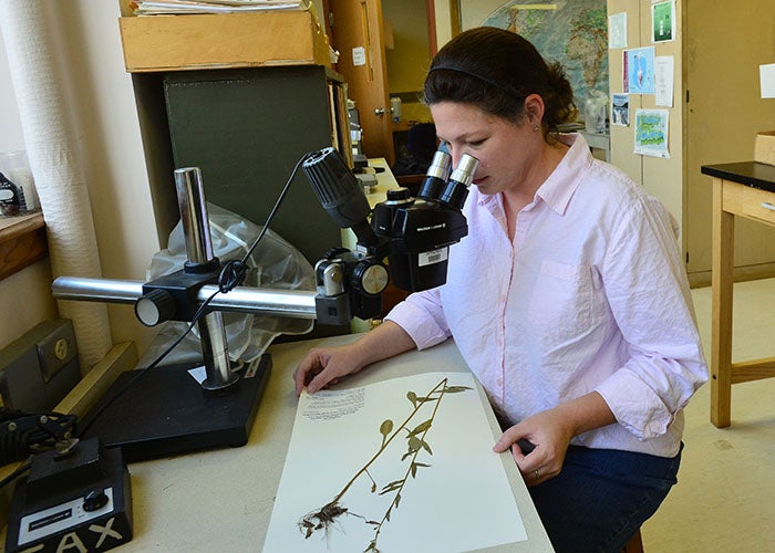 NSF-funded digitization initiative to document a biodiversity hotspot