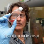 Research Highlights 2015_16 cover