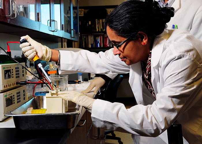 Marshall & WVU partner for $1.5M health care, research program
