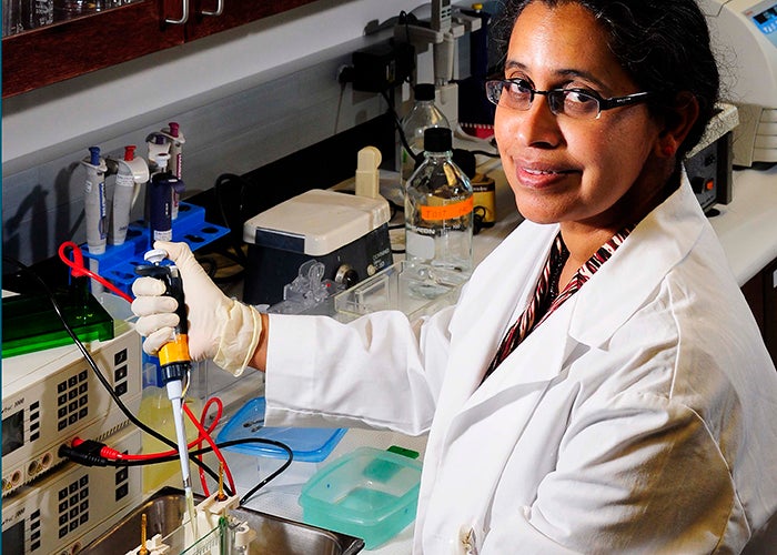 Researcher receives federal grant to study obesity and aging