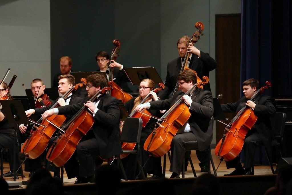 Image of orchestra