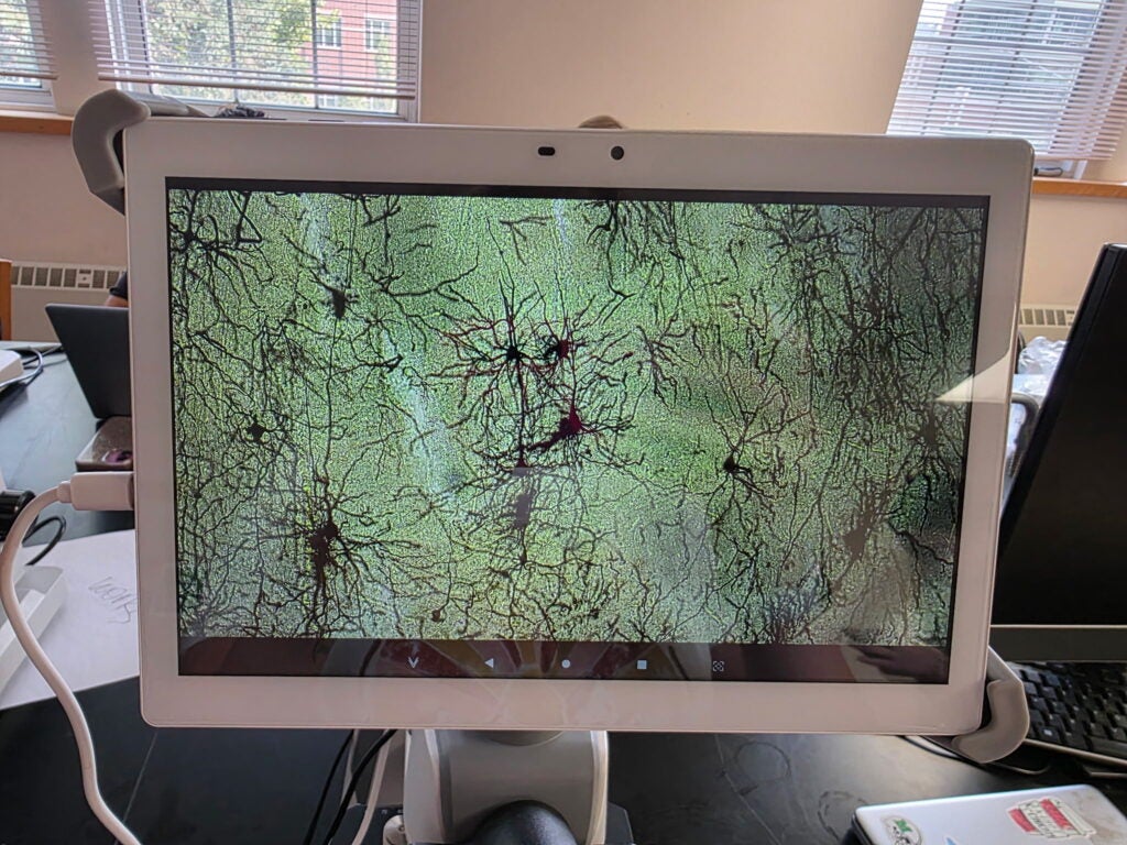 students at NeuroCamp 2026