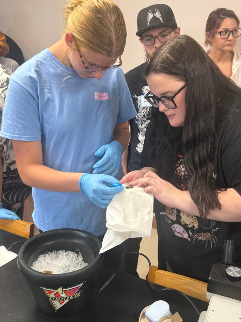 students at NeuroCamp 2026