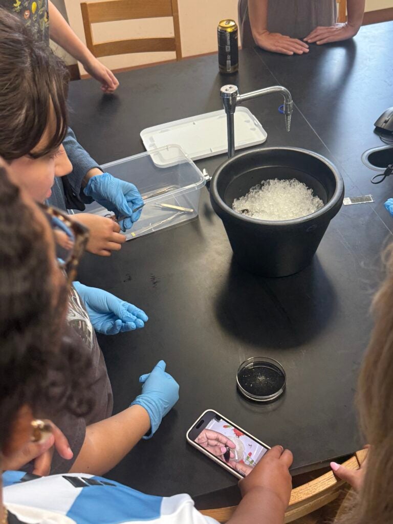 students at NeuroCamp 2026