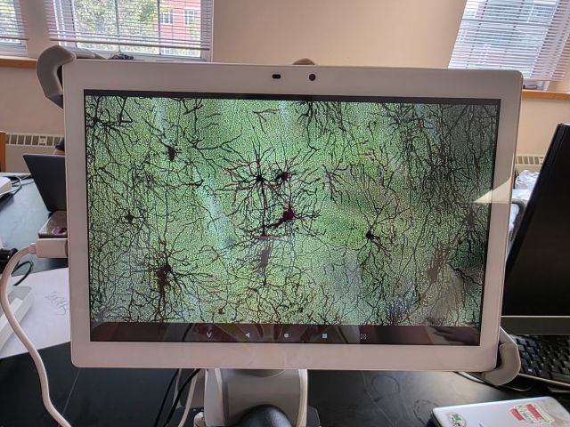 students at NeuroCamp 2026