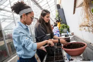 Aija Toth working in the greenhouse