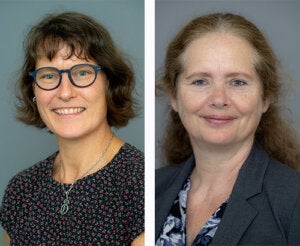 Marshall faculty among network of researchers to receive $20 million  from National Science Foundation for neuroscience research