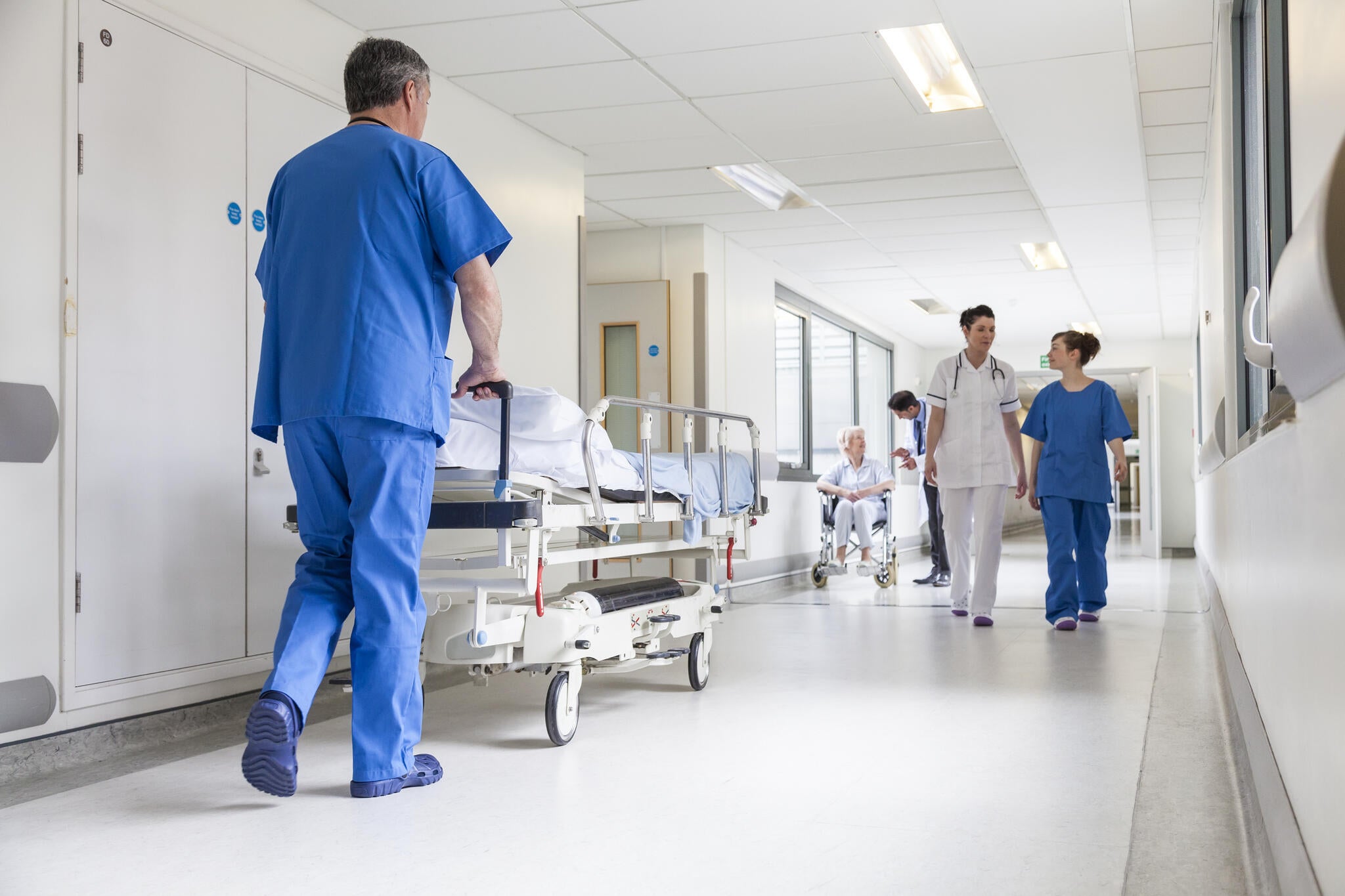 Marshall University Nursing Program Requirements CollegeLearners Marshall University Nursing Program Requirements CollegeLearners