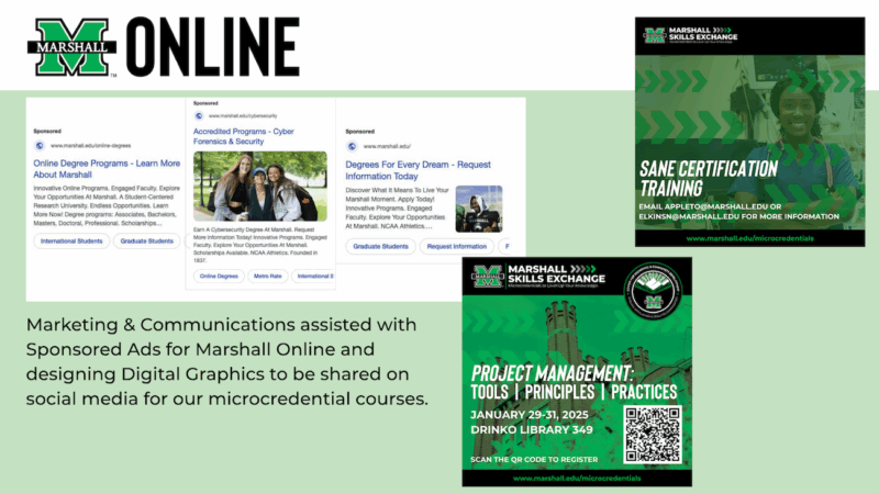 Online student engagement partnerships