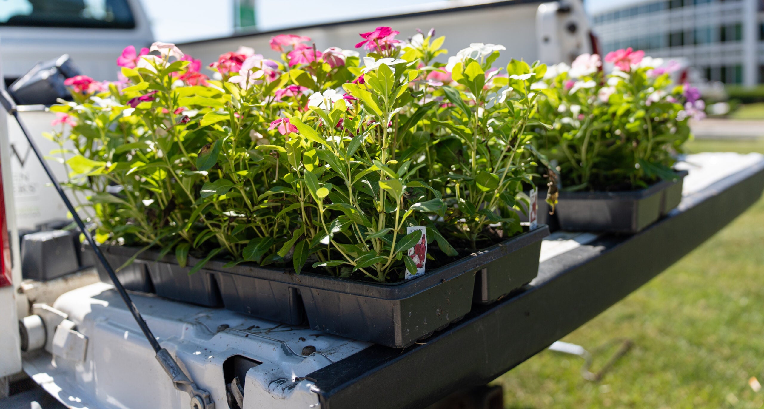 It takes a team to keep our campus clean!