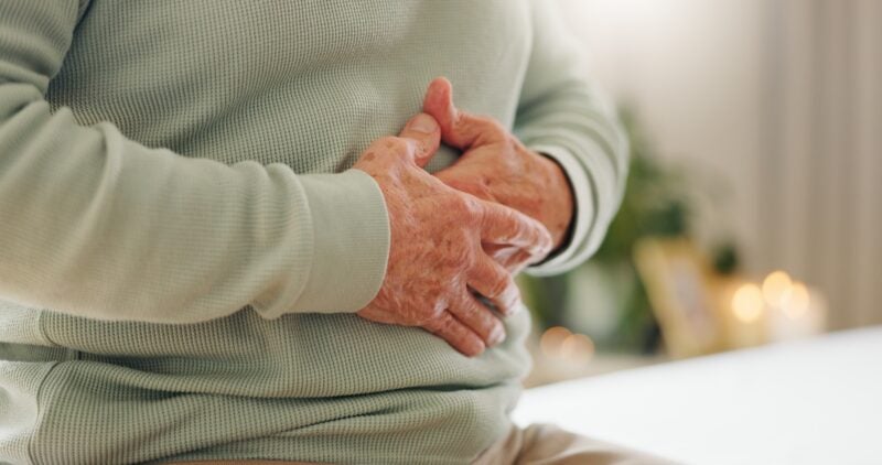 Hands, stomach pain with closeup and gut health, person has digestion issue and nutrition with elderly care. Sick, colon and gas with healthcare and wellness, help and support for stress and illness.