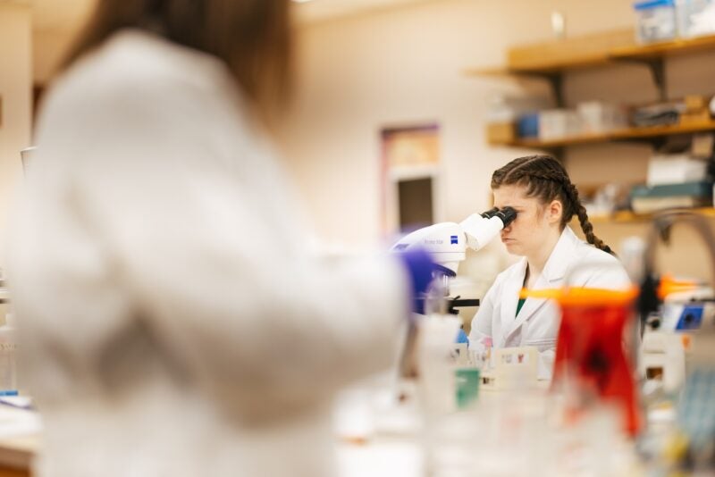 student looking through a microscope in a laboratory and another student in the foreground