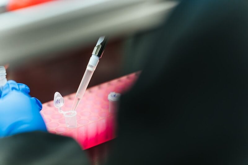 Gloved researcher uses a pipette to transfer liquid into a small sample tube in a laboratory.