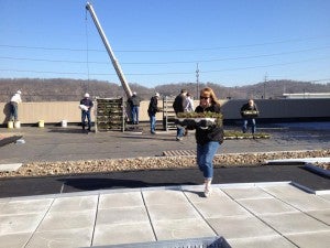 GreenRoof3-2015