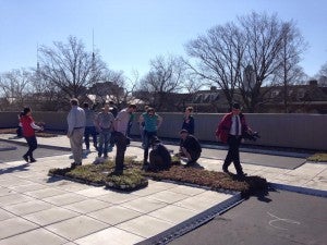 GreenRoof8-2015