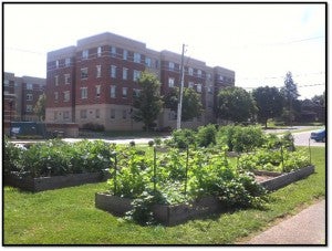 Student Garden