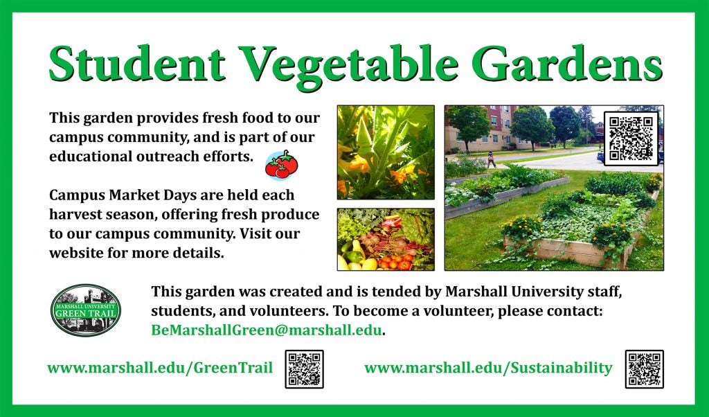 StudentVegetableGarden1-web