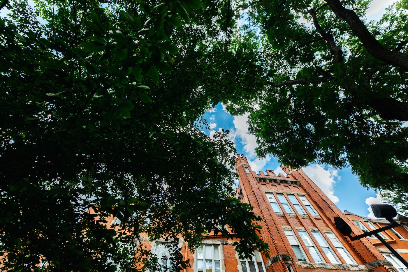 shot of Old Main with trees surrounding