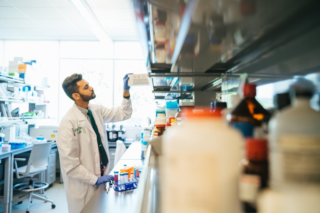 Monis Ali working in a lab as a pharmacy student
