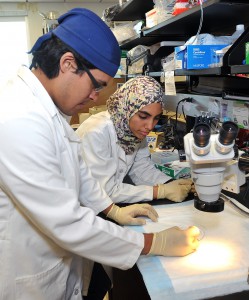 Manny Rosas and Hajer Mazagri Manny Rosas and Hajer Mazagri