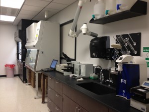Lab - Right
