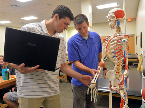 Two male students are examining a skeleton