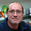 photo of Philippe Georgel