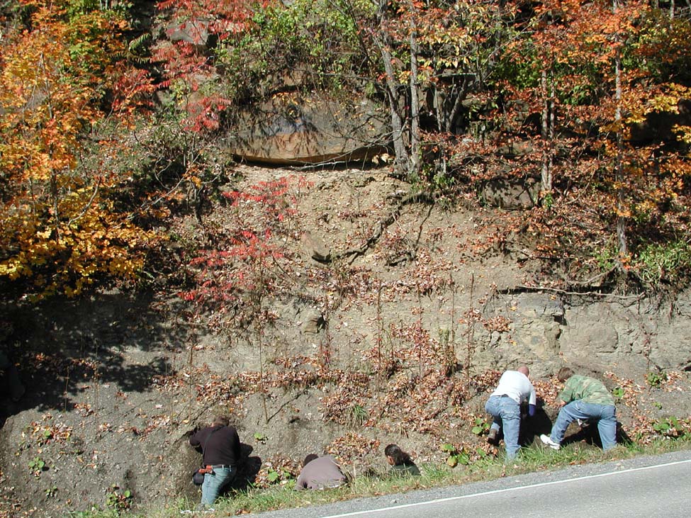 Pennsylvanian Pottsville over Mississippian Mauch Chumk, Canaan Heights