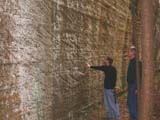 Photo from Sedimentation and Stratigraphy field trip showing students examining marks left on a rock face