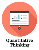 Quantitative Thinking Decorative Icon