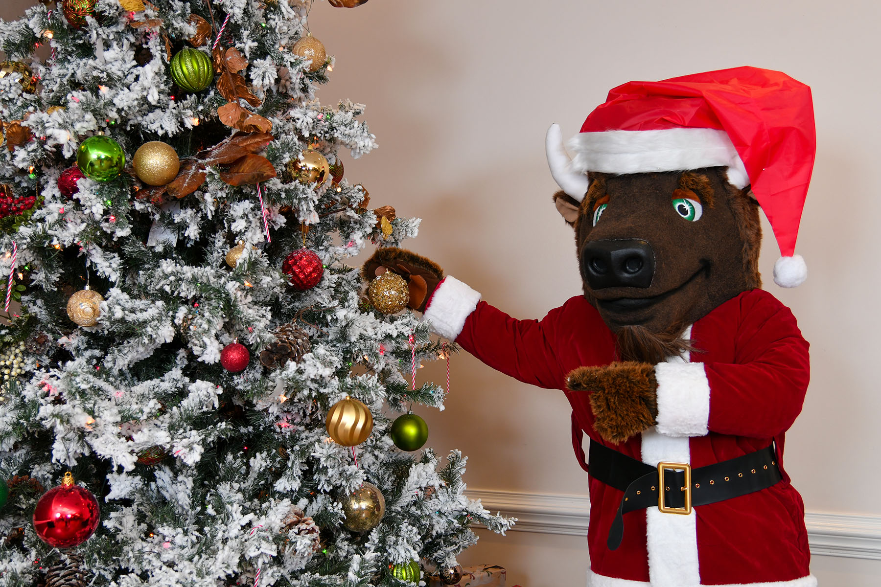 Marco is wearing a santa suit as he adds an ornament to a holiday tree