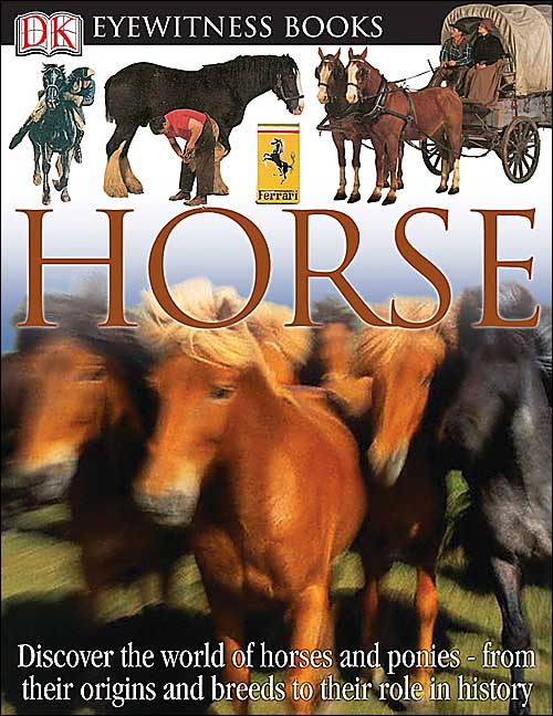 horse cover