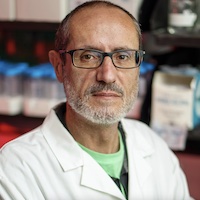 Photo of Philippe Georgel
